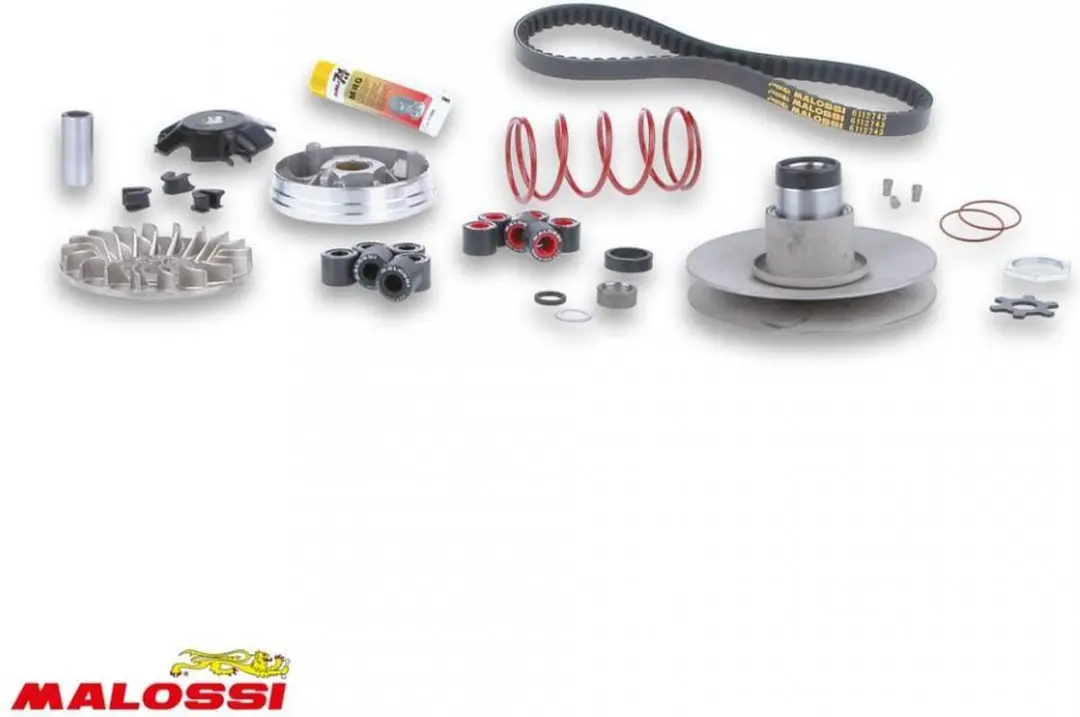 malossi variator voor malaguti 50 f12 scooter 6112811 / over range nieuw