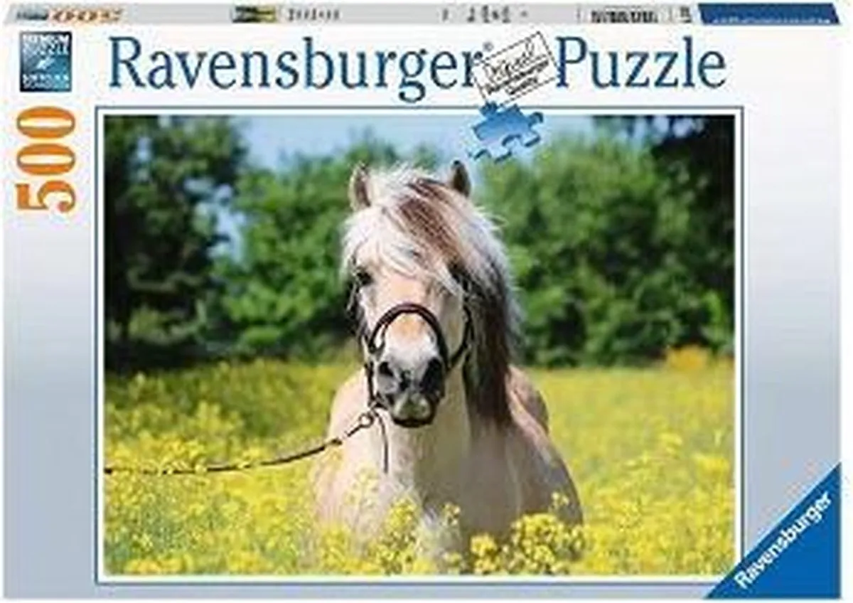 Ravensburger puzzel Kunstgalerie - Legpuzzel - 3000 stukjes