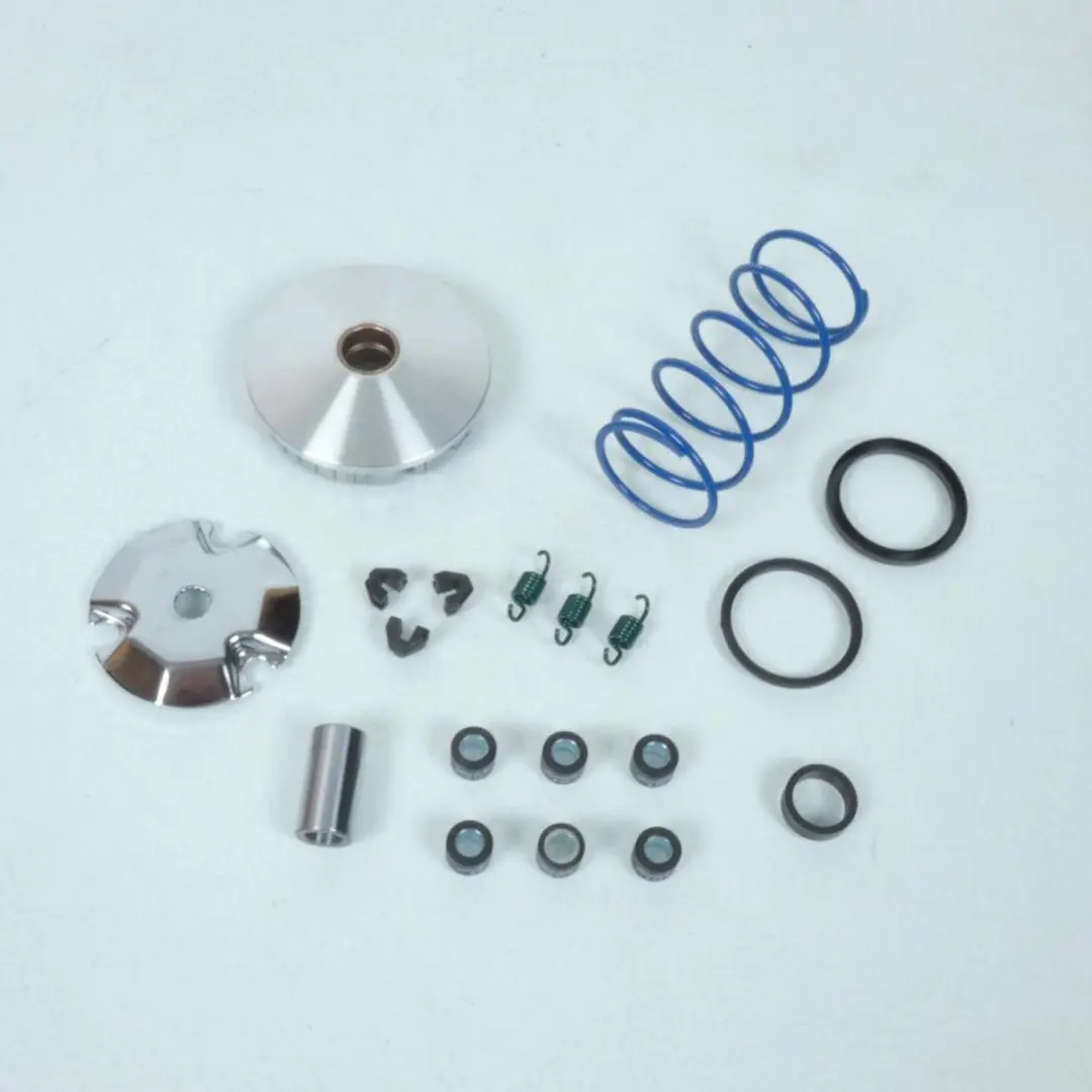 polini variator voor benelli 50 491 scooter nieuw