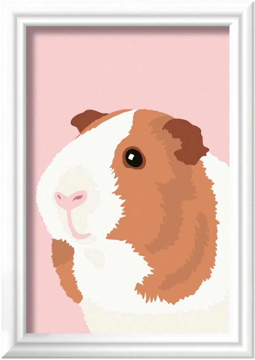 Ravensburger CreArt Guinea Pig Schilderen op Nummer - Multicolor