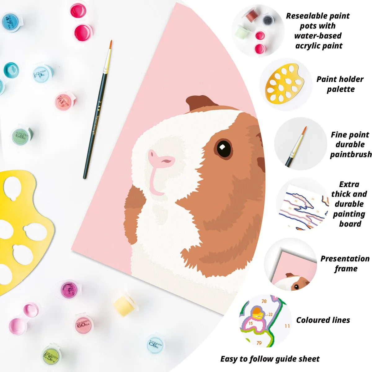 Ravensburger CreArt Guinea Pig Schilderen op Nummer - Multicolor