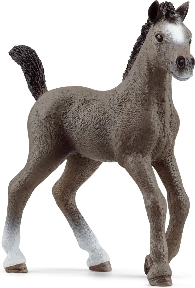 Schleich HORSE CLUB Selle FranÃ§ais Veulen 13957 - Grijs