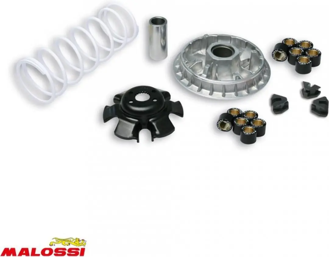 malossi variator voor kymco 300 dink street scooter na 2012 5114730 / multivar 2