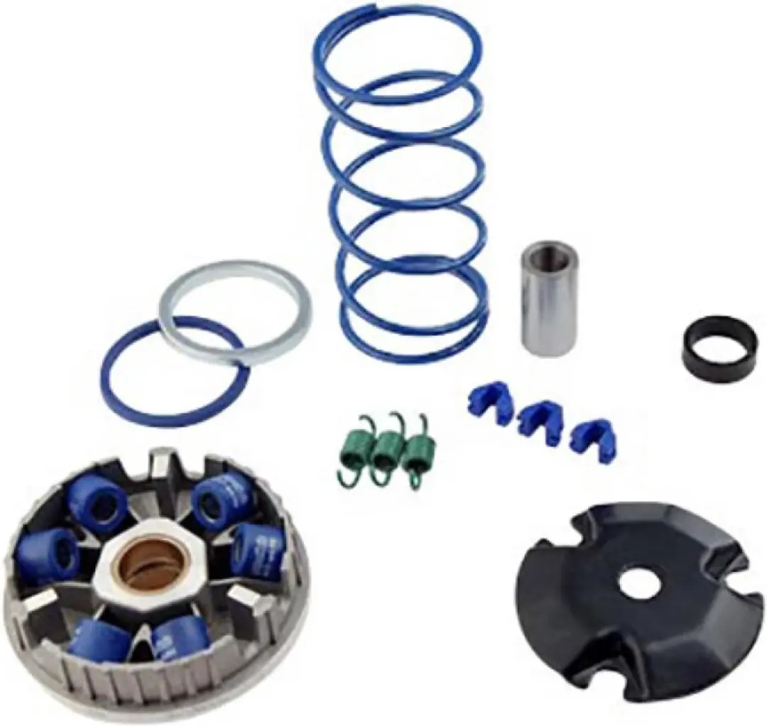 polini variator voor benelli scooter 50 491 rr nieuw