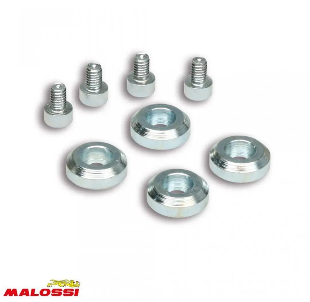 Galet rouleau de variateur Malossi pour Mobylette Peugeot 50 103 LVS Neuf