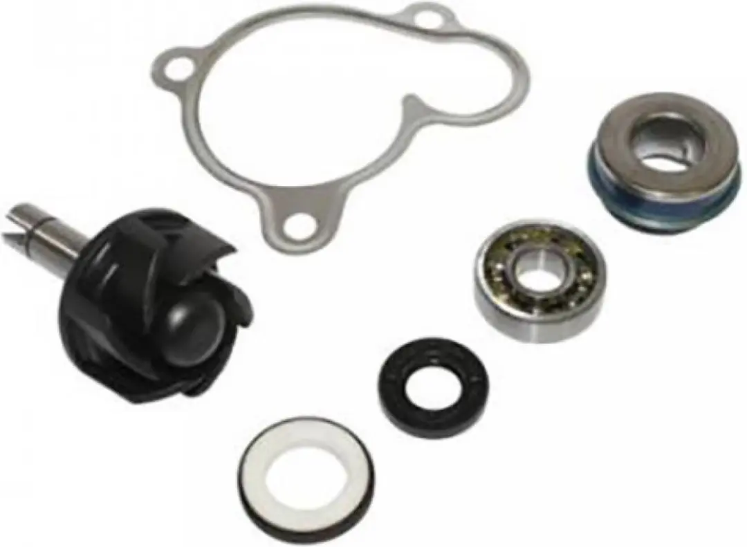 buzzetti waterpomp voor mbk 250 skyliner scooter 1998 tot 2020 0402 nieuw