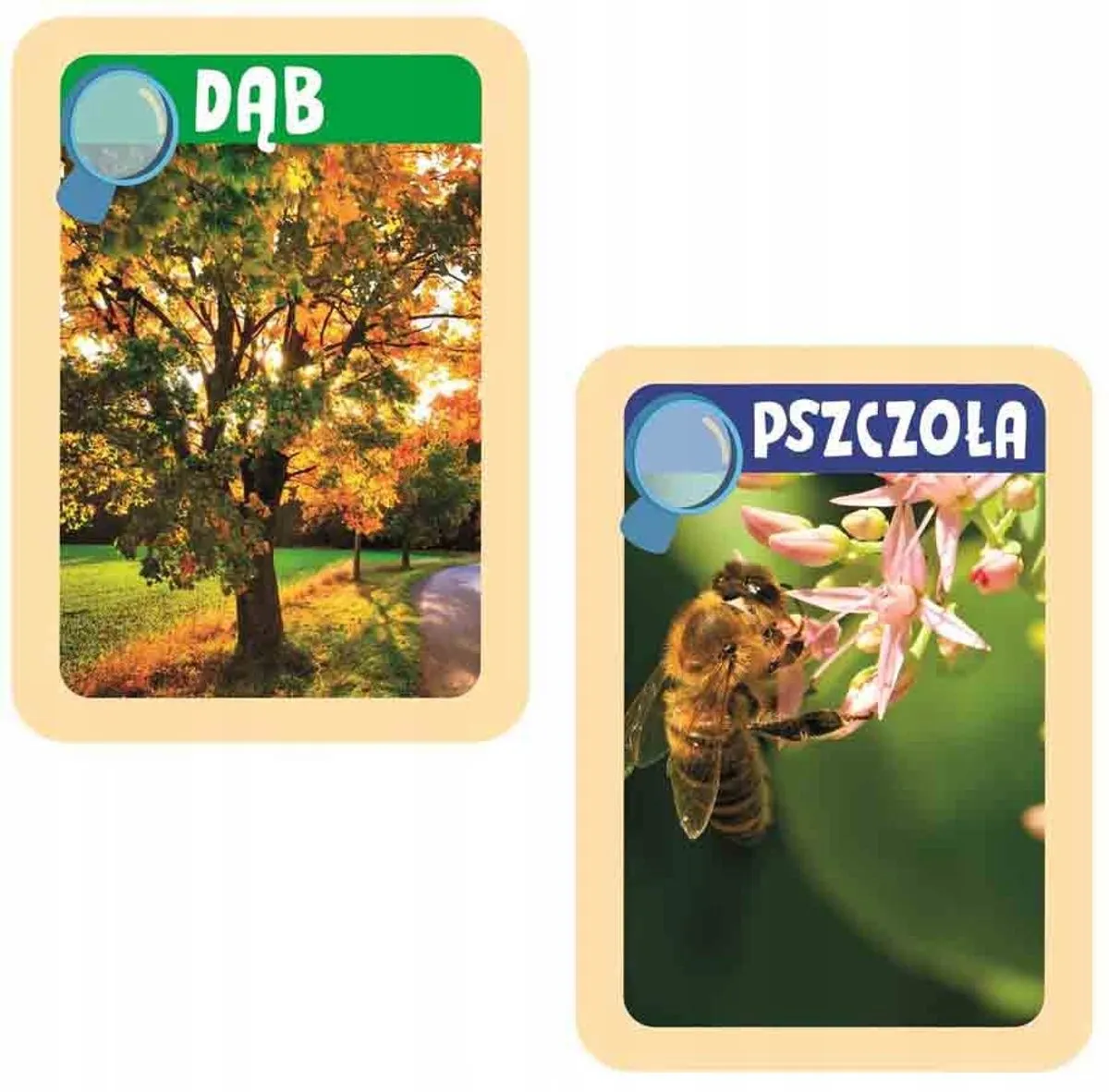 Clementoni Natuur Laboratorium Junior - Leerzaam Speelgoed 5+ - afbeelding 5 van 5