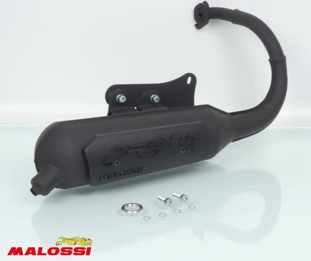Malossi uitlaatdemper voor Peugeot 50 Squab scooter 1994-1996 Wild Lion / 321658