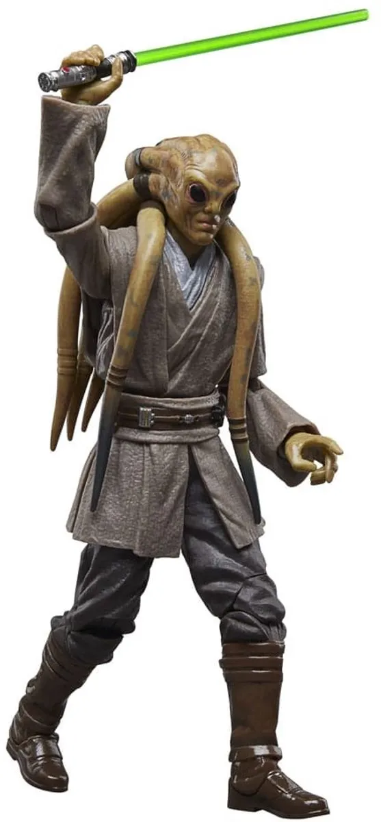 Star Wars Black Series Kit Fisto HASG1743 - Action Figure 15cm - Multi