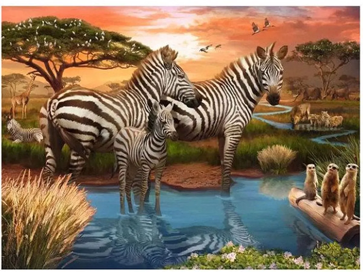 Ravensburger Legpuzzel Zebra's Bij de Drinkplaats 1000 Stuks