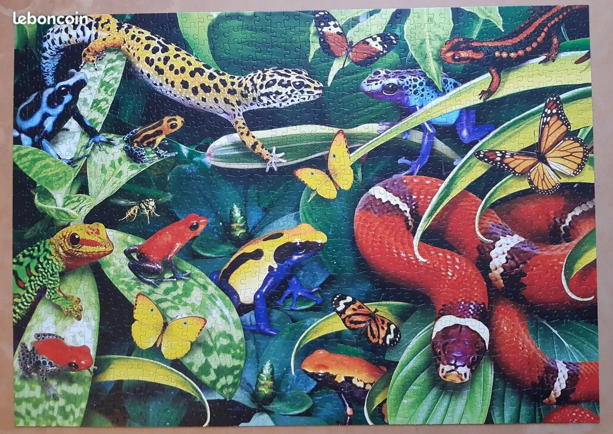 Jumbo Jungle Animals Puzzel 1000 Stukjes - Multi