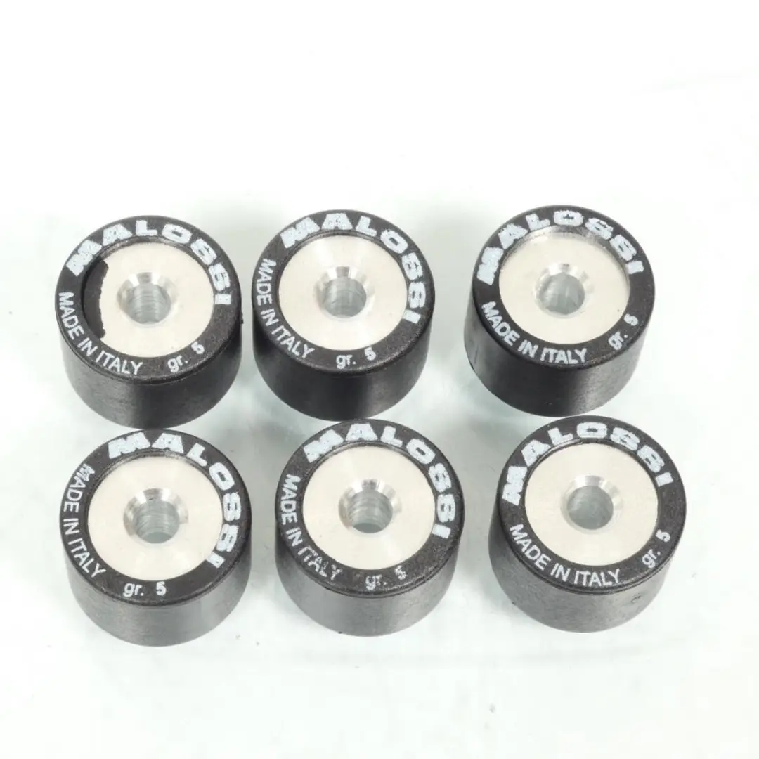 Malossi variatorrol voor scooter Derbi 50 Atlantis 2T 17x12,3 5Grs / 66 9999.C0