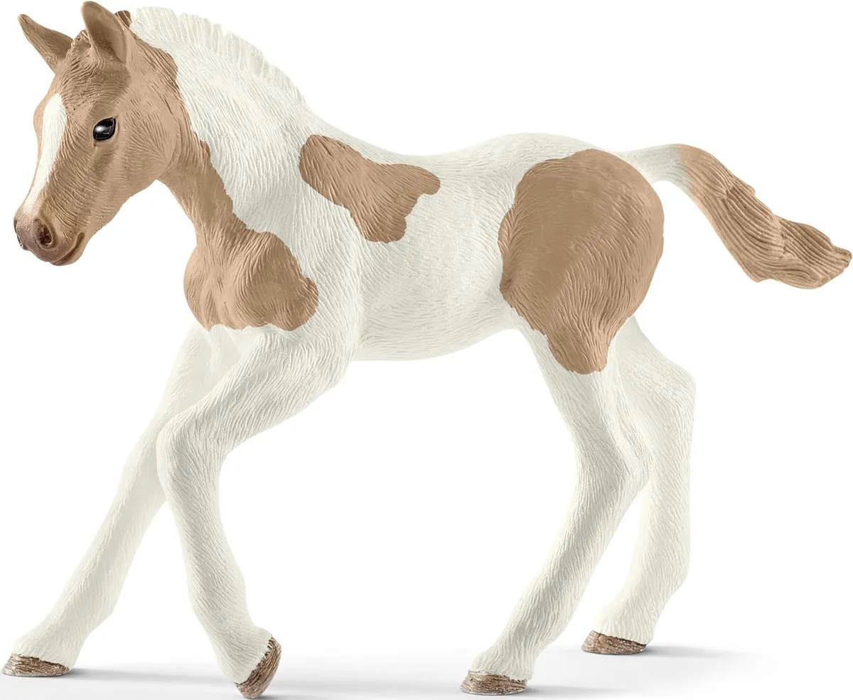 Schleich Paint Horse Veulen 13886