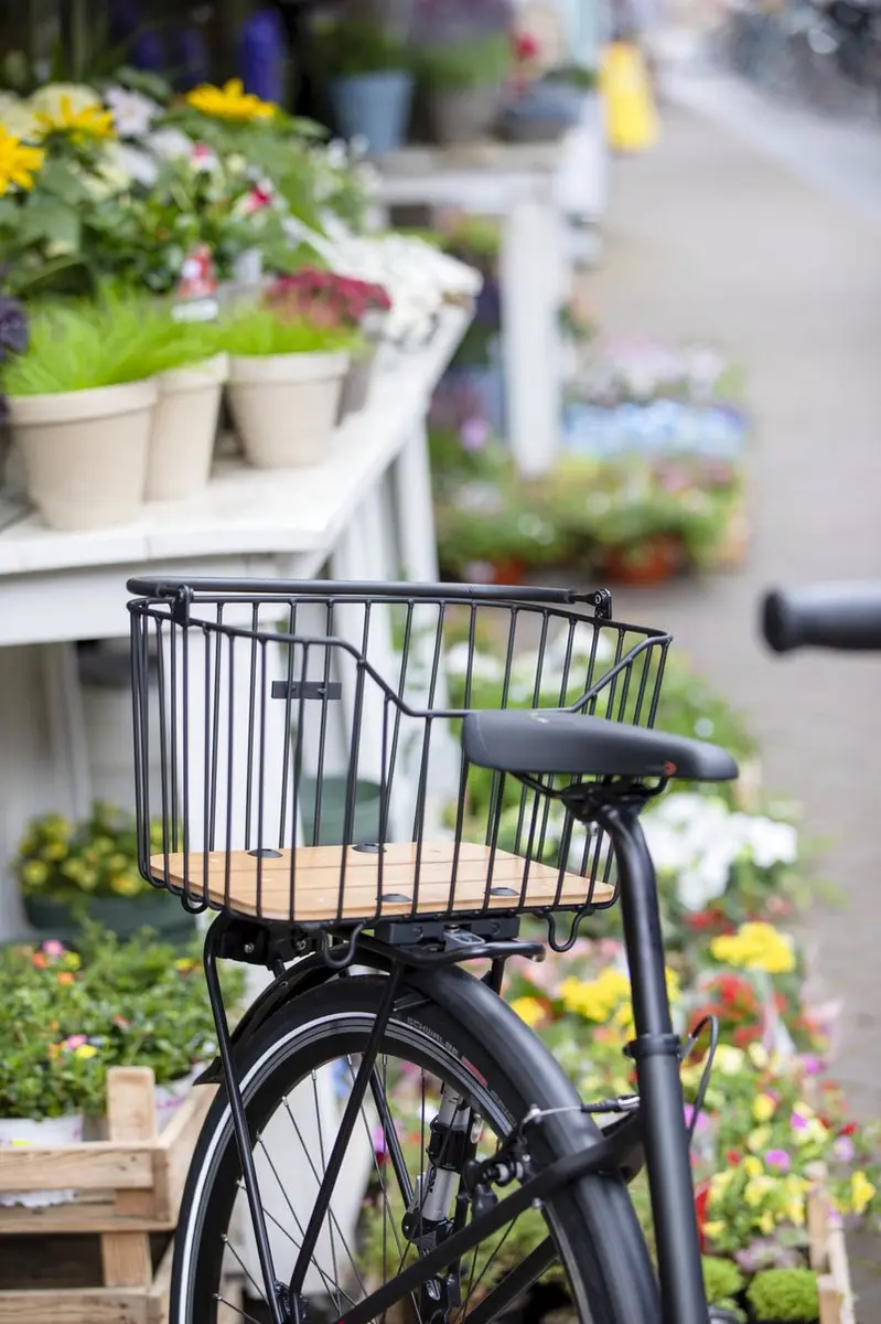 New Looxs Palermo Fietsmand 24L - Zwart