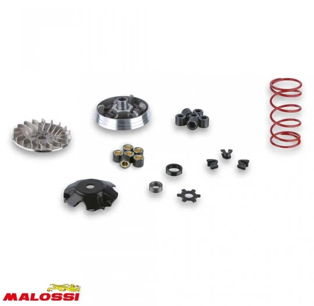 Variateur Malossi pour Scooter Beta 50 Quadra Neuf