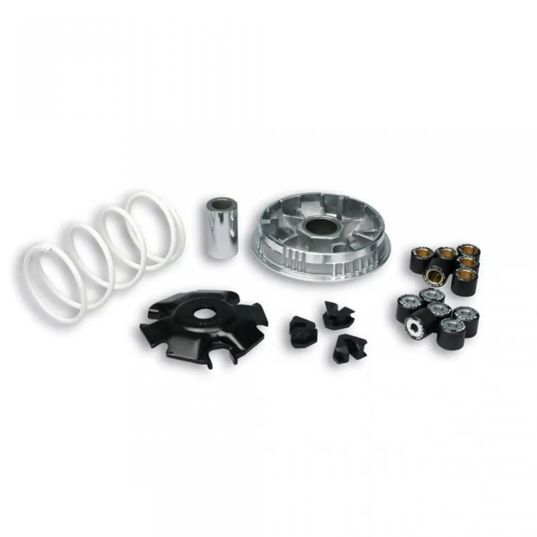 Variateur Malossi pour Scooter Aprilia 125 Scarabeo Light 5111397T Neuf