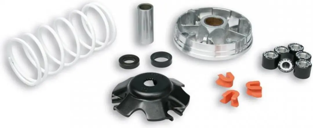Malossi-variator voor Gilera 50 Ice-scooter 2002 tot 2004 51 9019 / Multivar nie