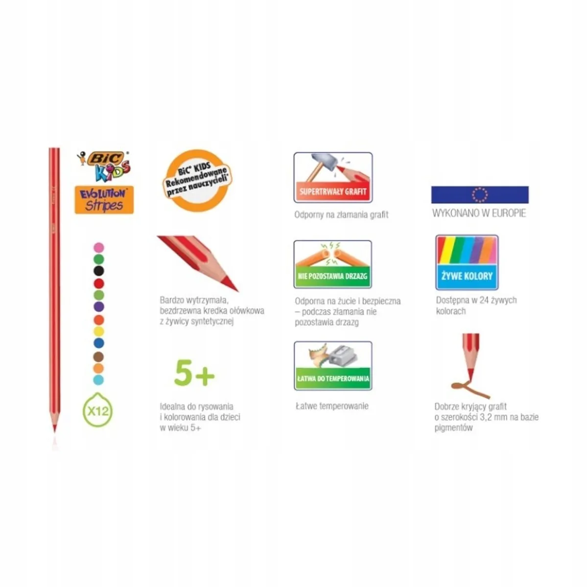 Bic Evolution Kleurpotloden 12 Stuks + 3x Lijm 8g - Meerkleurig