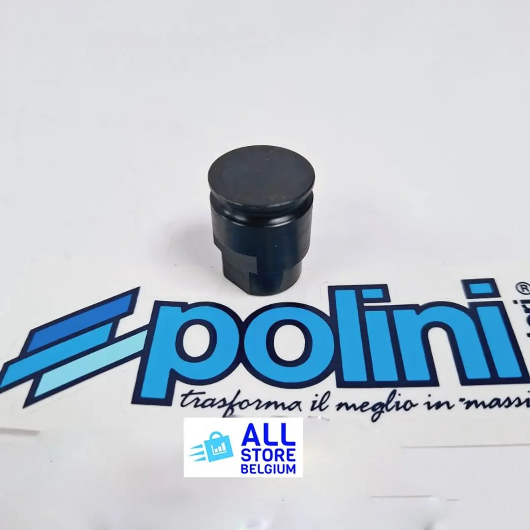 POLINI MECHANISHE WATERPOMP AANDRIJFMOER