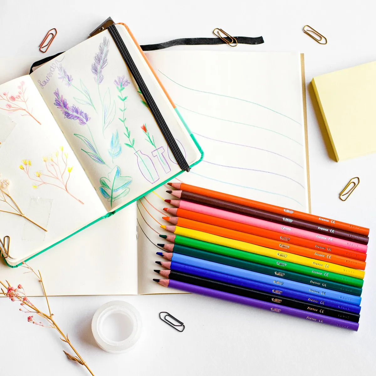 Bic Intensity Driehoekige Kleurpotloden 3,2mm - Multicolor - 12 Stuks