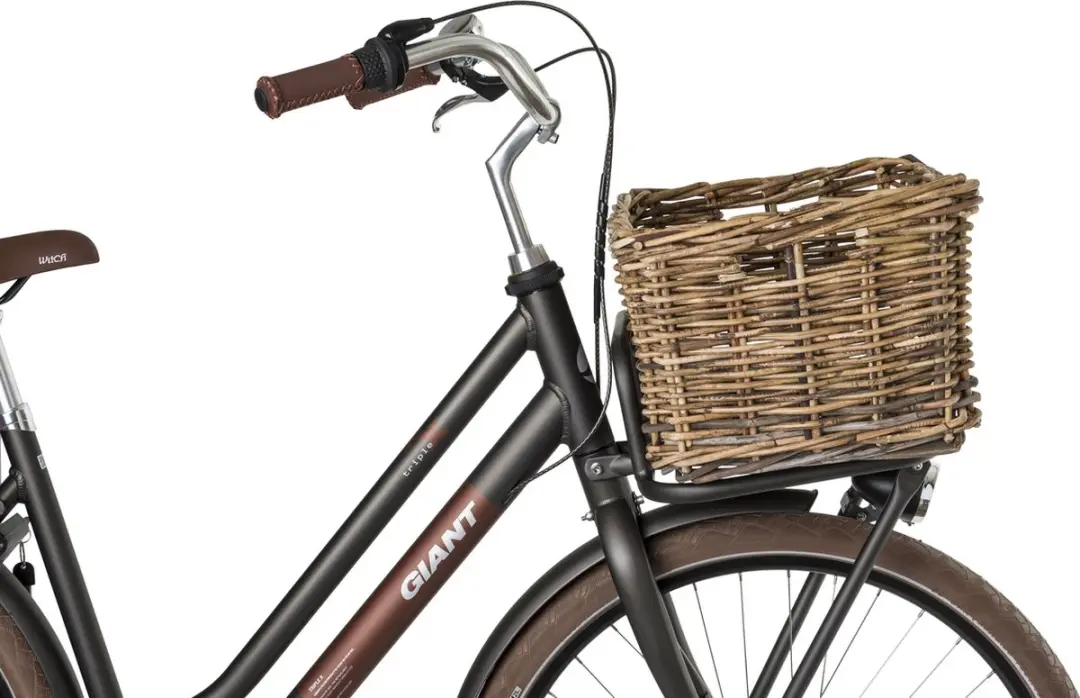 FastRider Zeno Rotan Fietsmand - 26L - Bruin