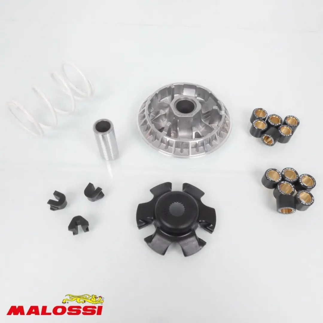 malossi variator voor kymco 300 dink street scooter na 2010 5114238 / multivar 2