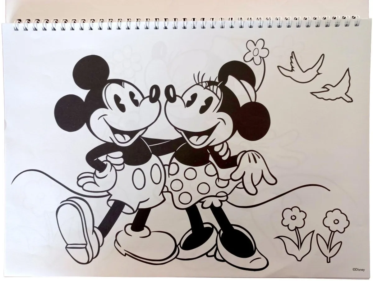 Disney Minnie Nomadic Spirit A4 Spiraal Schetsboek - 40 Bladen - afbeelding 6 van 6