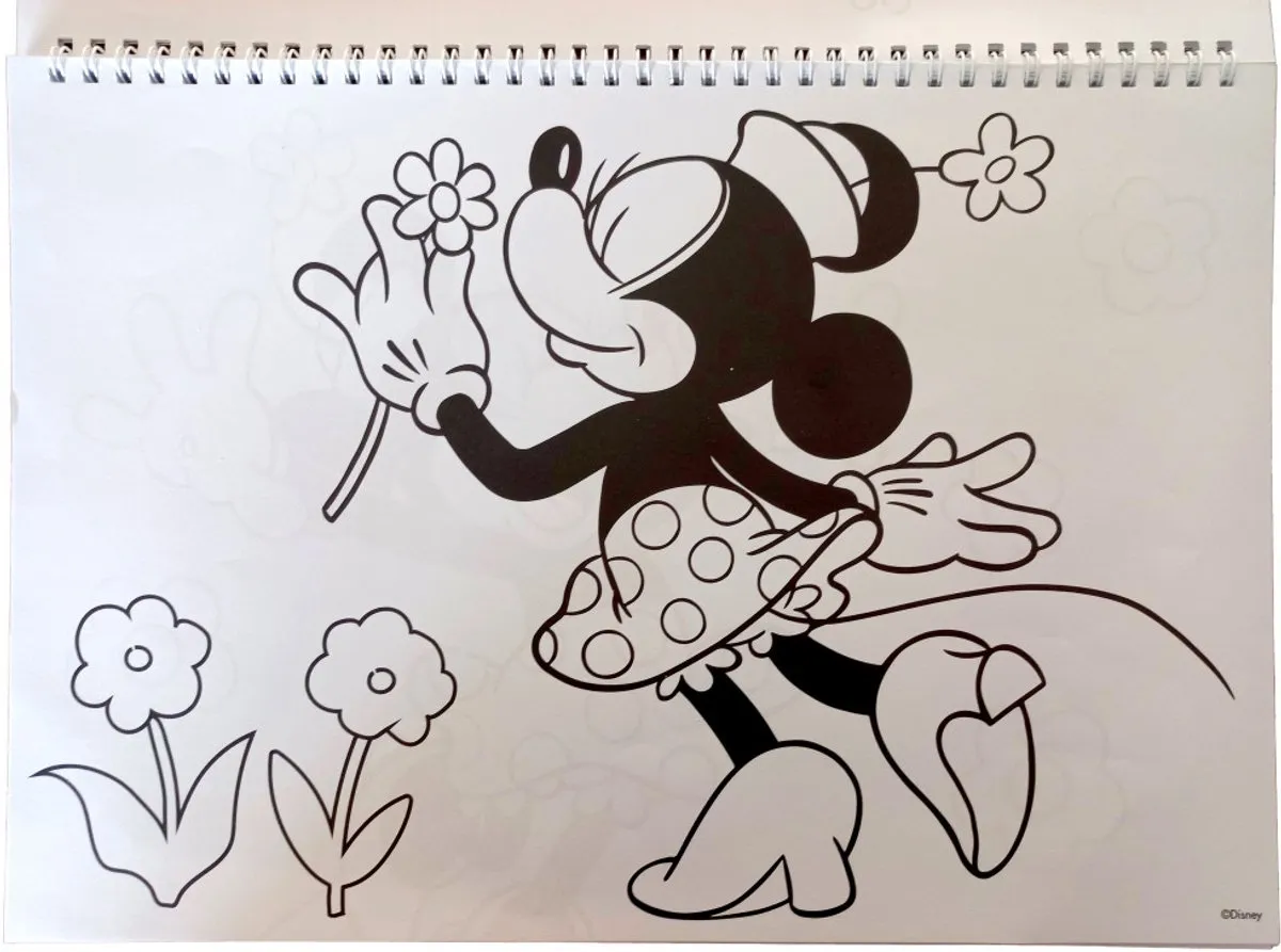 Disney Minnie Nomadic Spirit A4 Spiraal Schetsboek - 40 Bladen