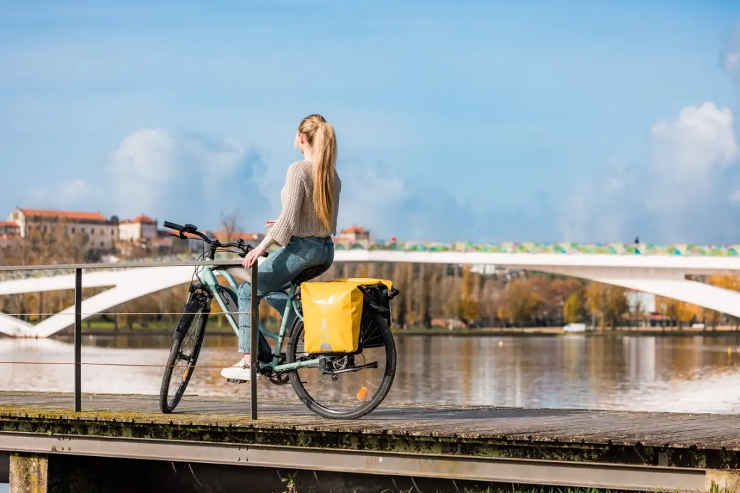 Willex Dubbele Fietstas 34L - Geel