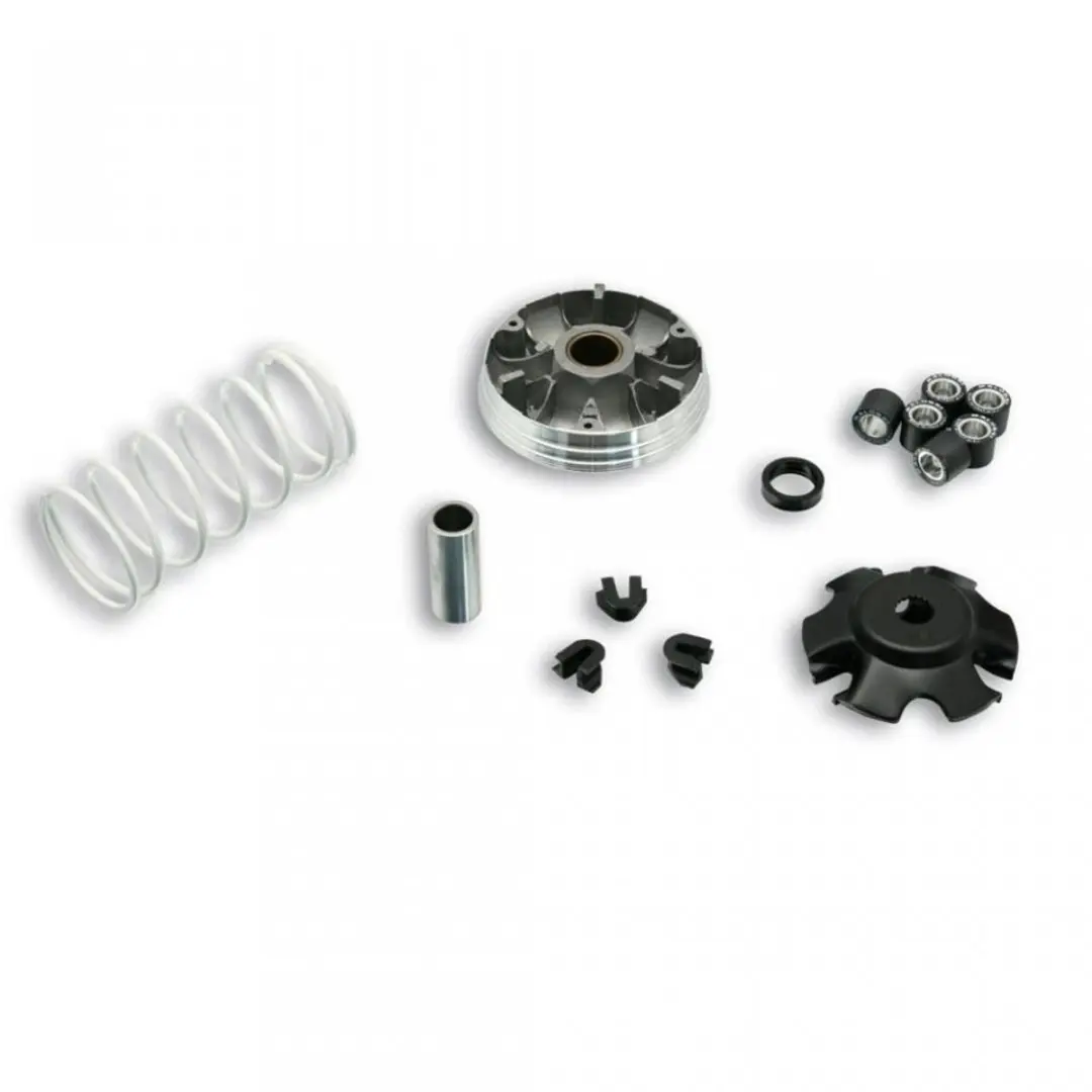 Variateur Malossi pour Scooter Piaggio 50 Liberty Neuf