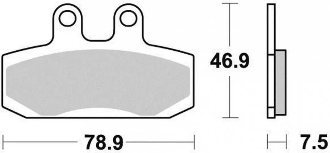 Malossi remblok voor Aprilia 125 Leonardo scooter 1999-2017 6215031 Gloednieuw