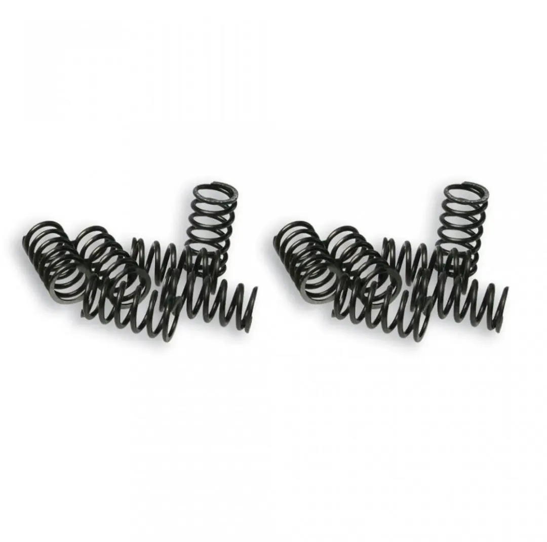 Ressort d embrayage Malossi pour Auto Piaggio 50 APE FL 2916649 Neuf