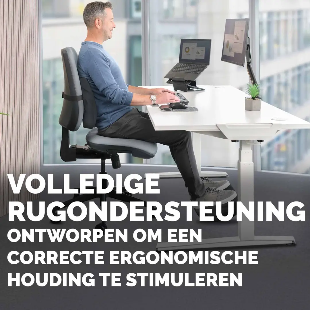 Fellowes Breyta Rugkussen Ergonomisch - Zwart - afbeelding 6 van 6