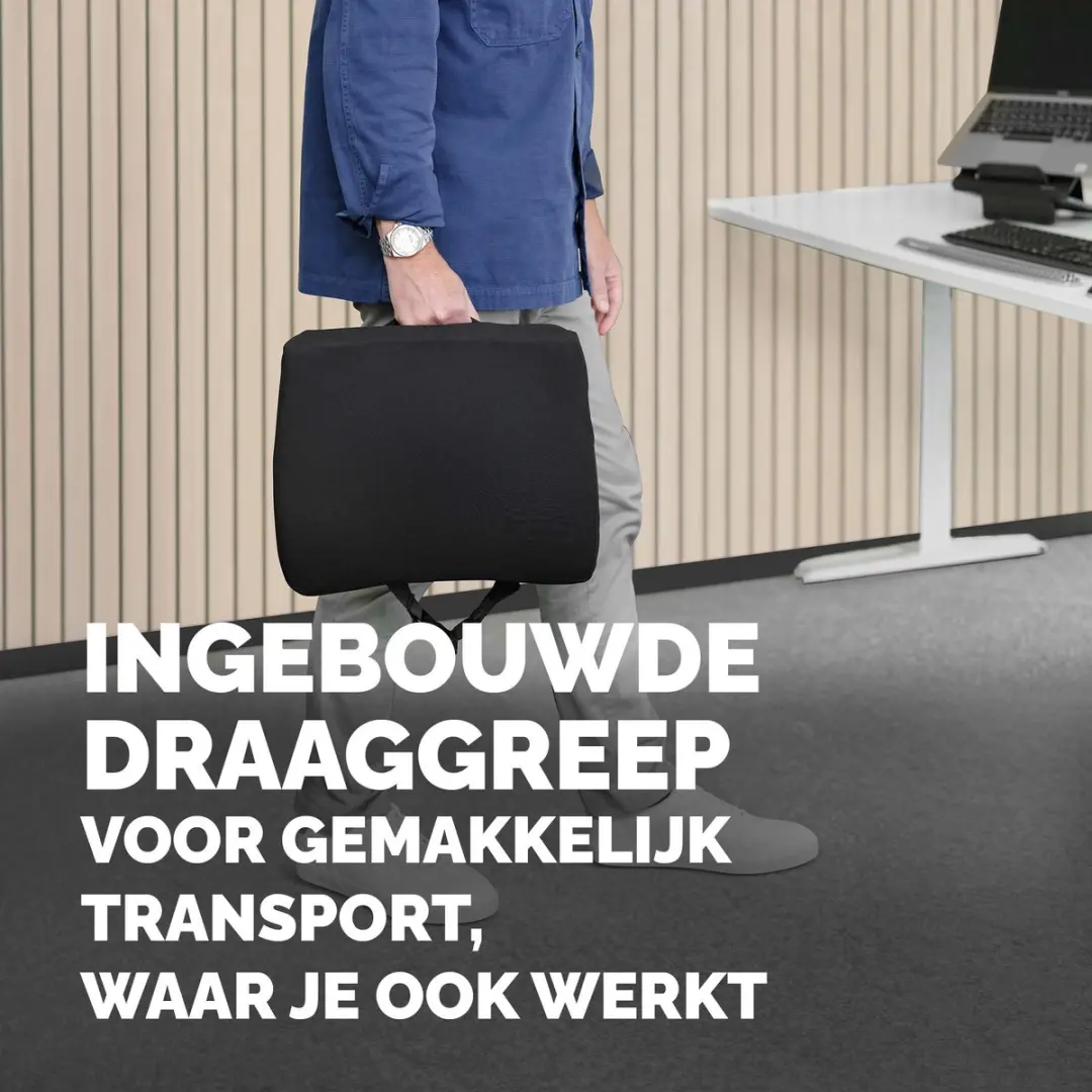 Fellowes Breyta Rugkussen Ergonomisch - Zwart
