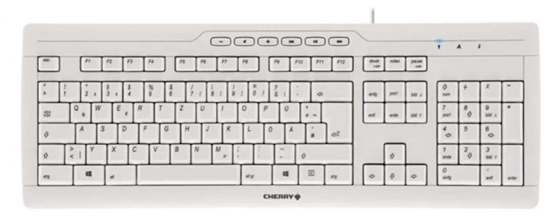 CHERRY STREAM 3.0 toetsenbord Kantoor USB Zwitsers Grijs