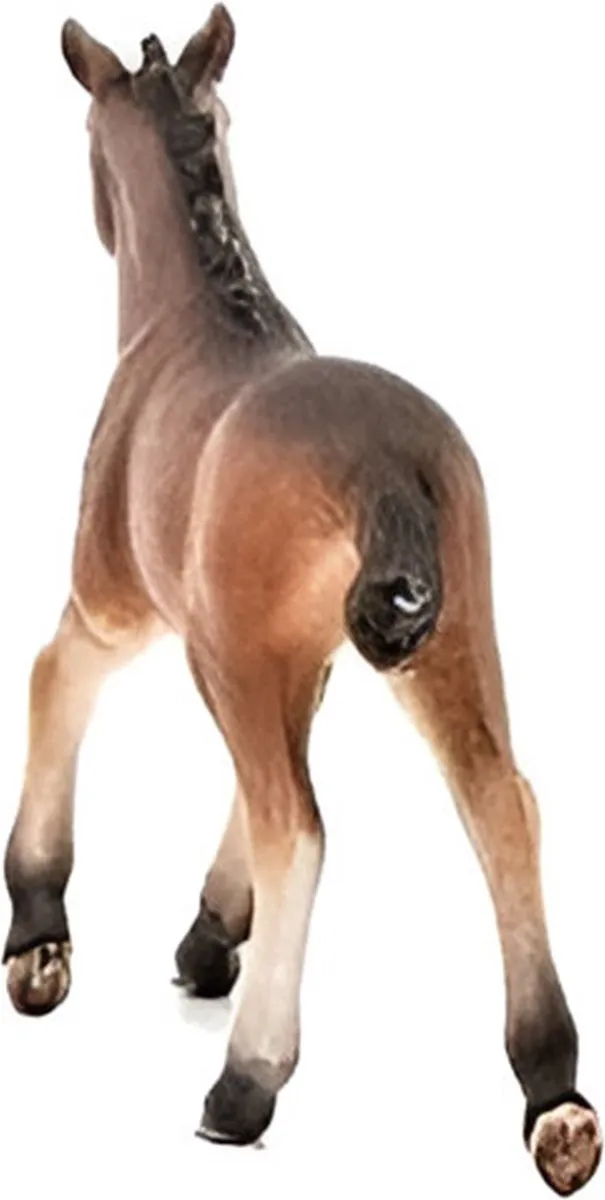 Schleich Farm World Mustang Veulen 10cm - Bruin