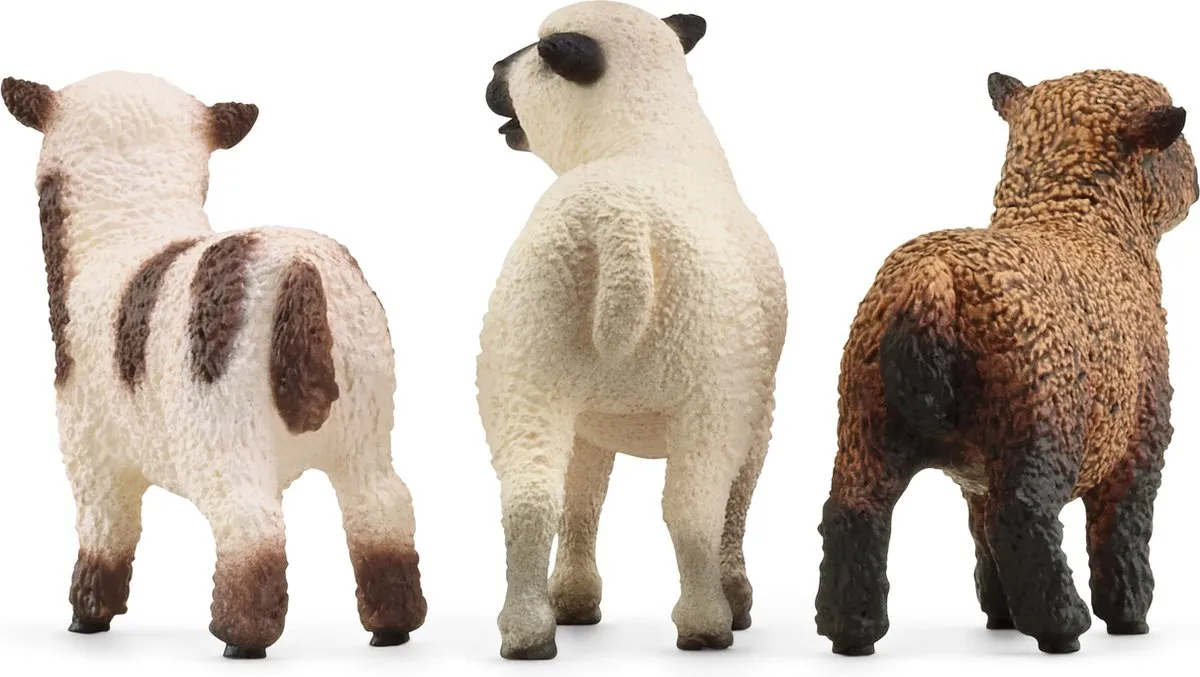 Schleich Farm World Schapen 42660 - Meerkleurig