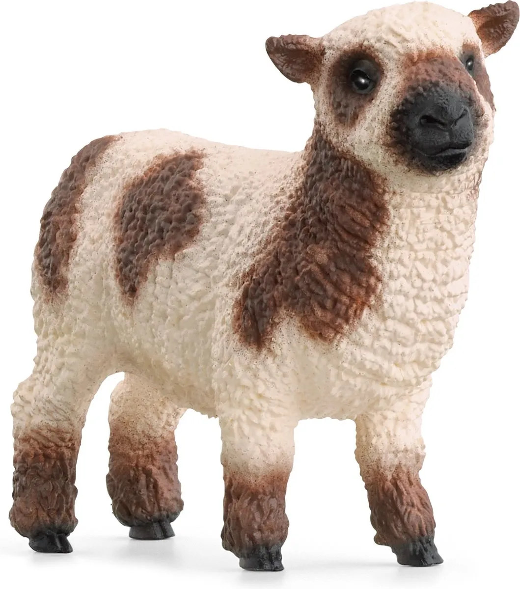 Schleich Farm World Schapen 42660 - Meerkleurig
