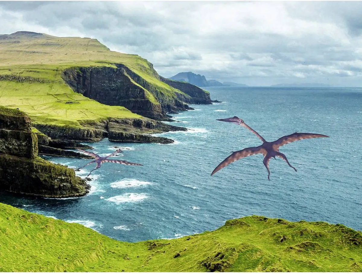 Revell 23565 Mini RC Dinos Quetzalcoatlus - Multi - afbeelding 6 van 6
