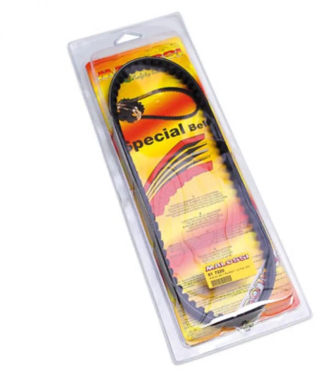 Courroie de transmission Malossi pour Auto 617220 Neuf