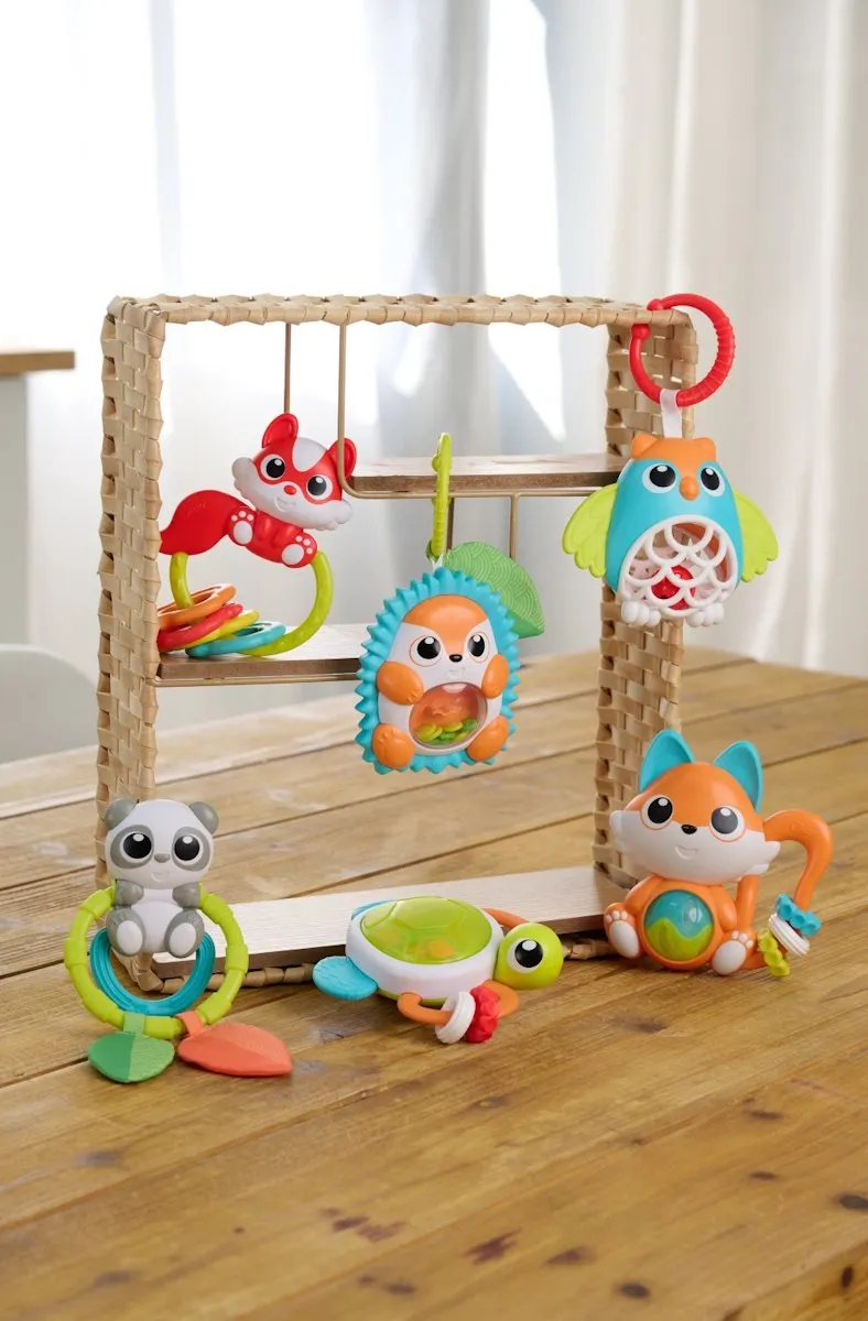 Chicco Schildpad Elektronische Rammelaar - Multicolor