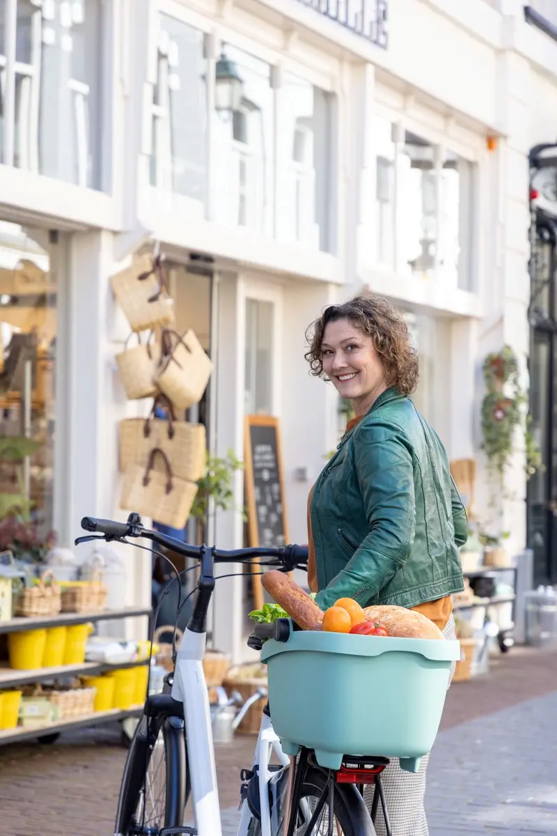 New Looxs Clipper Fietsmand Hond - 28L - Groen