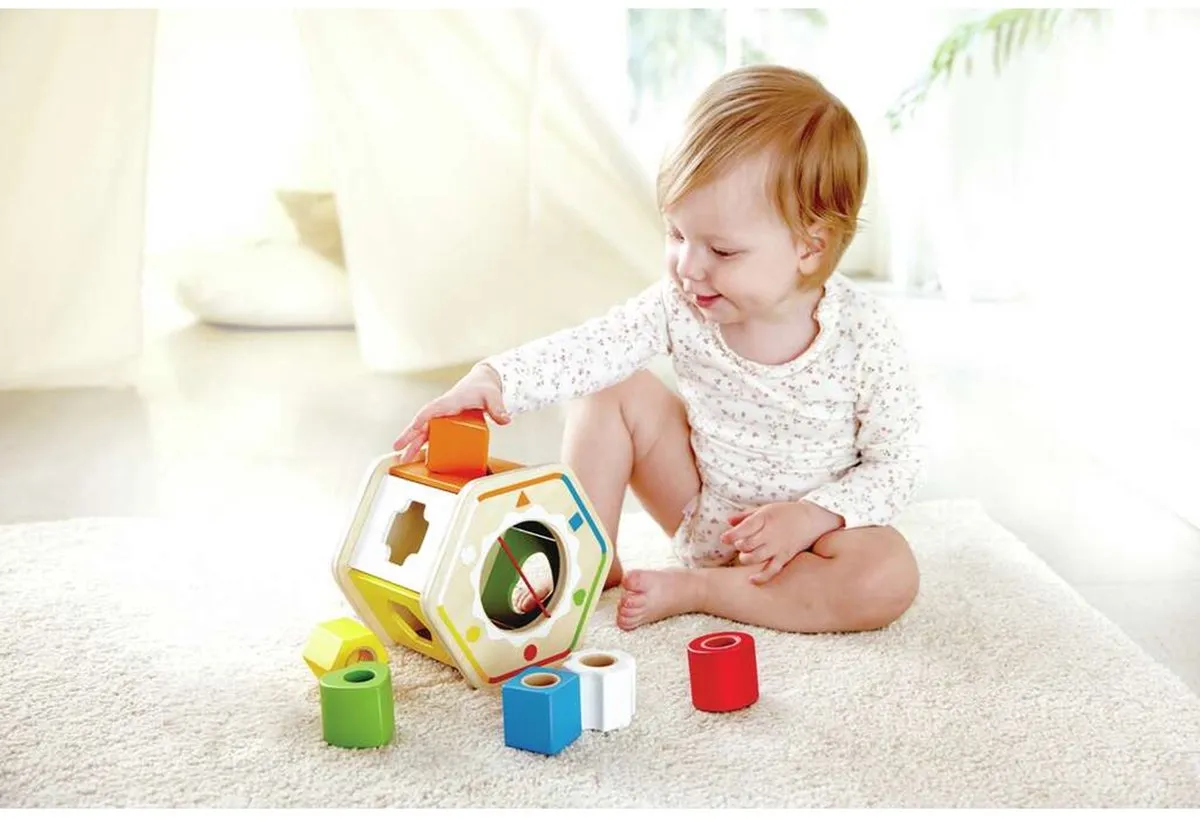 Hape Zichtbare Puzzel 12-delig - Multicolor