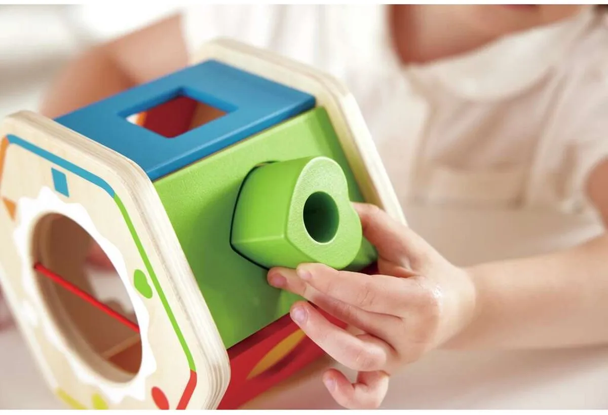 Hape Zichtbare Puzzel 12-delig - Multicolor
