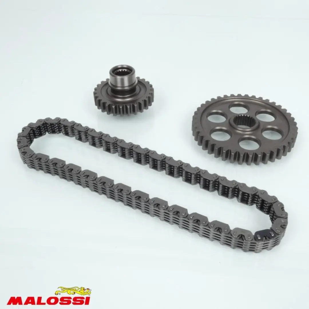 Malossi-achteras voor scooters 312, 500, 8698, modeljaar 2001 t/m 2011, 6714757,