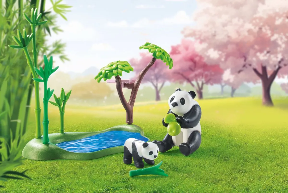 Playmobil My Life Aziatische Tuin met Panda 71762 - Multicolor