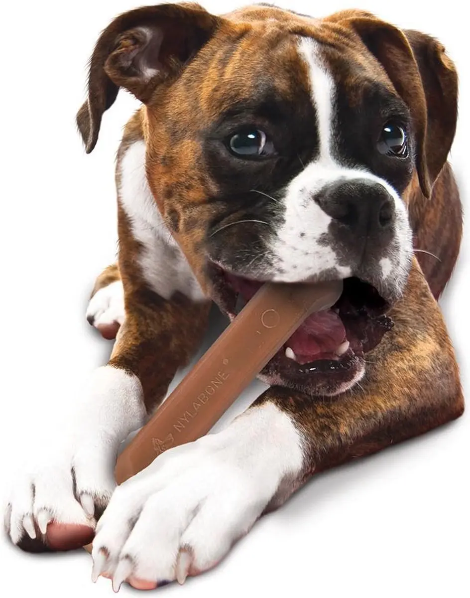 Nylabone Durable Kauwbot - 20 Kg - Multi