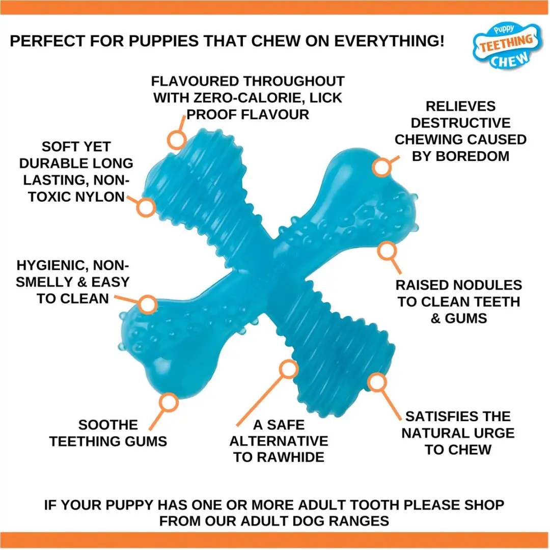 Nylabone Flexi Puppy Teething X Bone Aquablauw XS