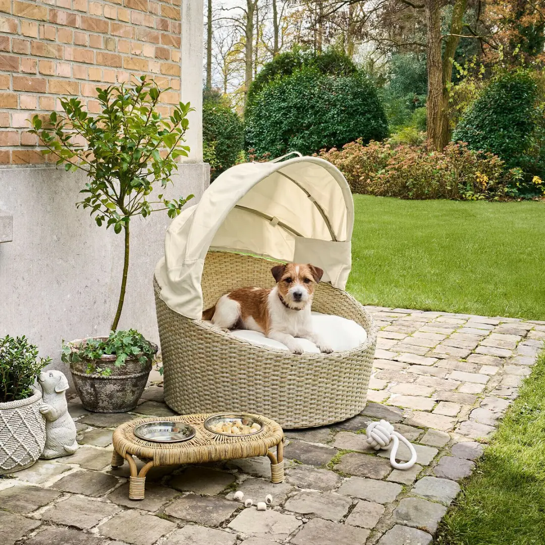 Loberon Mand Huisdieren Beige