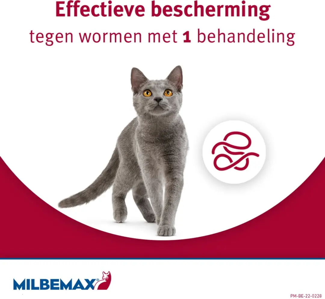 Milbemax Kitten & Kat Anti-wormtabletten 2 Stuks